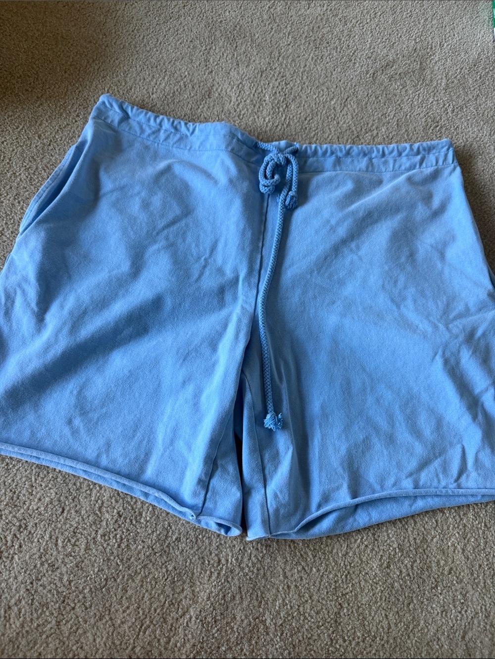 FP Movement by Free People Light Blue Athletic Lounge Shorts